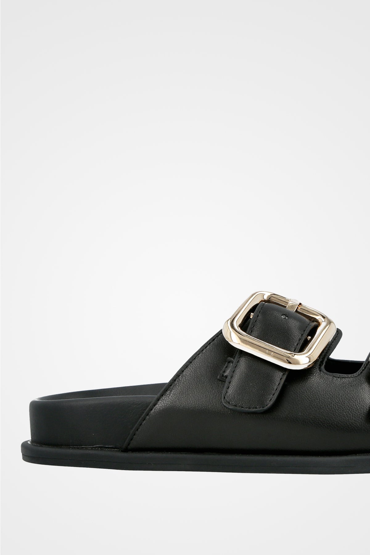 251-1853-5 - כ. 2 אבזמים גדולים אנטומי