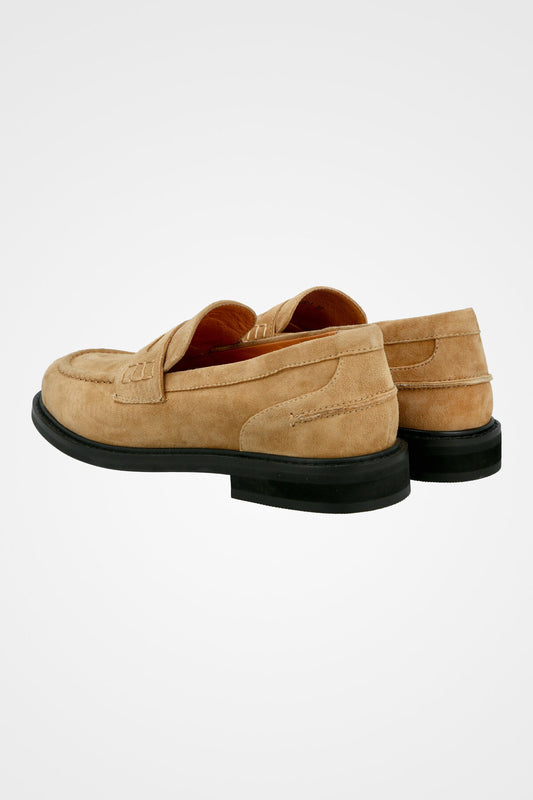 מוקסין קולג' עקב 2 252-530-1