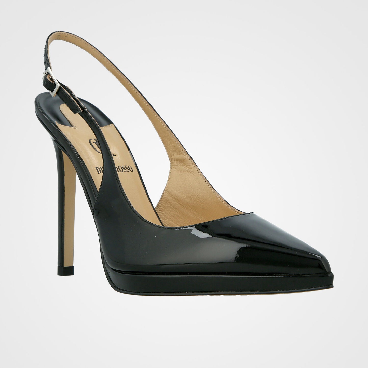 שאנל שפיץ   - 242-12-2