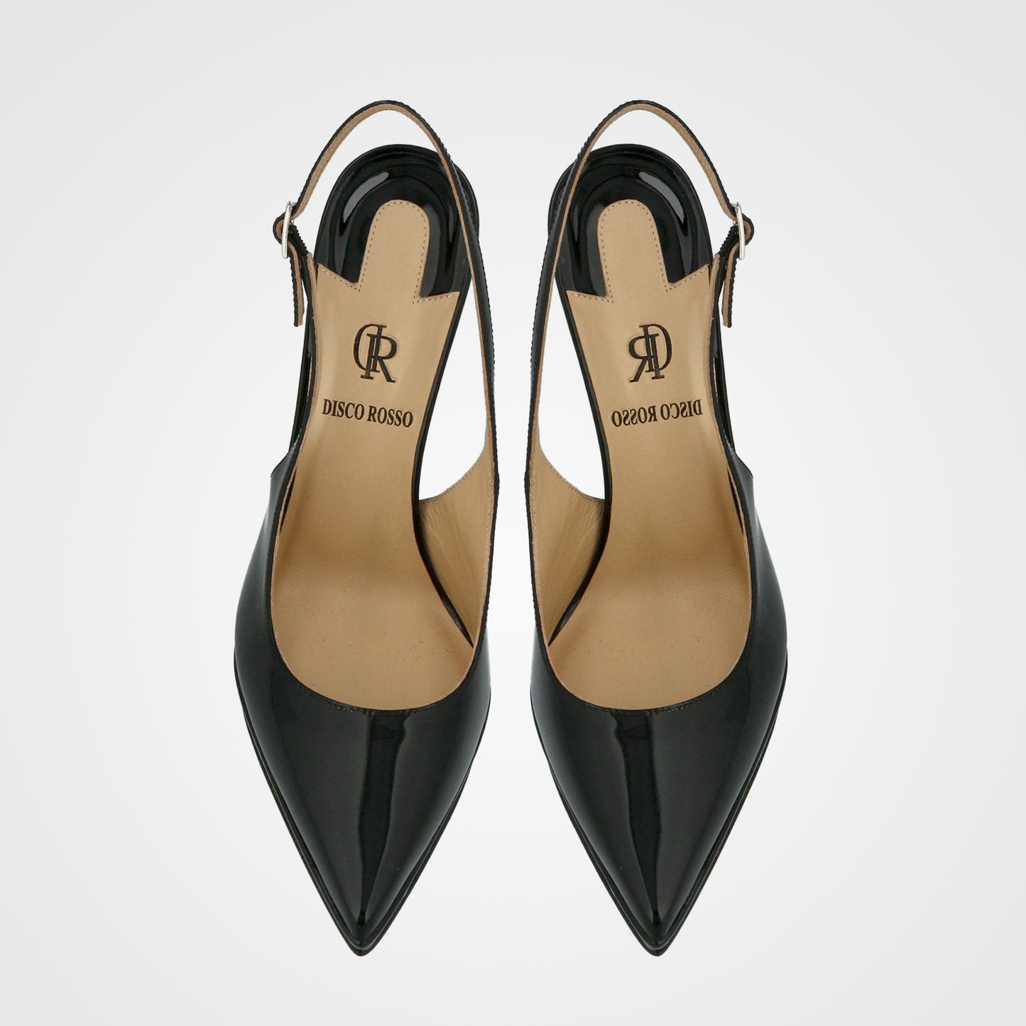 שאנל שפיץ   - 242-12-2